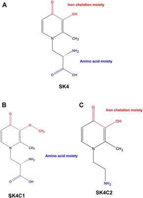 Novel iron chelator SK4 demonstrates cytotoxicity in a range of tumour derived cell lines